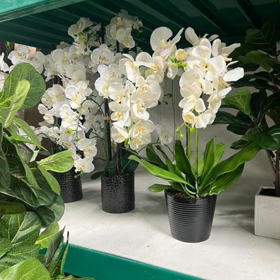 Sale Photo Thumbnail #250