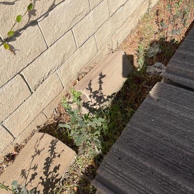 Sale Photo Thumbnail #24