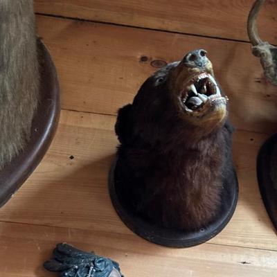 Sale Photo Thumbnail #25