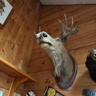 Sale Photo Thumbnail #26