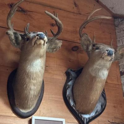 Sale Photo Thumbnail #24