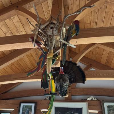 Sale Photo Thumbnail #28