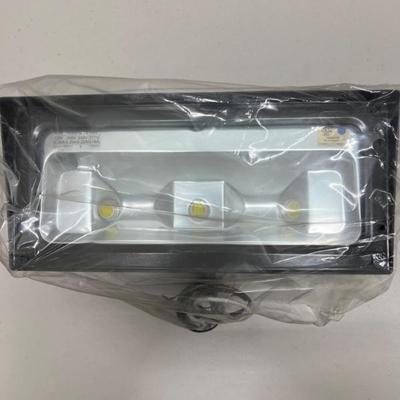 RAB FFLED39 Floodlight - Contractor Grade