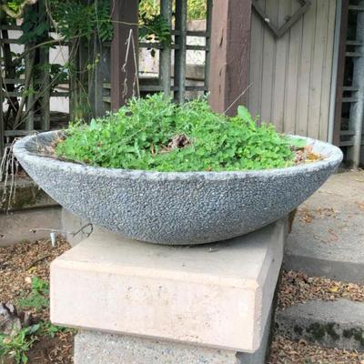 Extra-Large Half Moon Concrete Planter #1