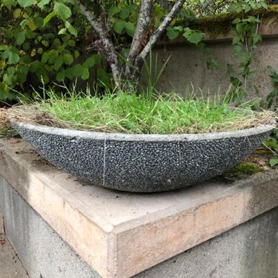 Concrete Half-Moon Minimalist Planter – Sculptural Outdoor Accent