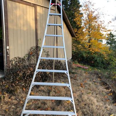 Stokes 12-Foot Orchard TriPod Ladder – Aluminum Frame
