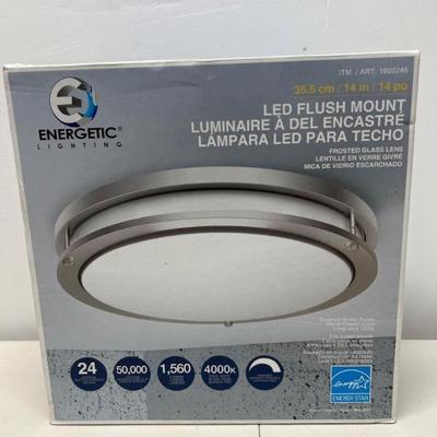Energetic 1600246 LED Flush Mount Ceiling Light – 14" Frosted Glass
