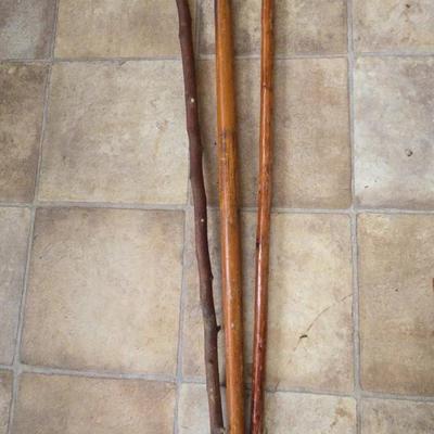 Rustic Wooden Walking Canes – Includes Carved Bird Head Handle
