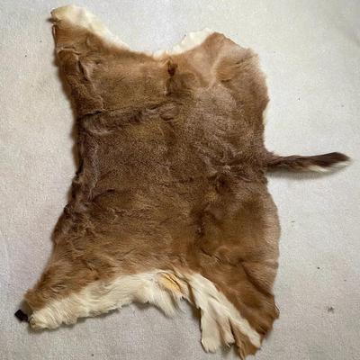 Tanned Deer Hide with Tail — Natural Brown and White Fur Pelt
