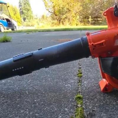 Echo Leafblower