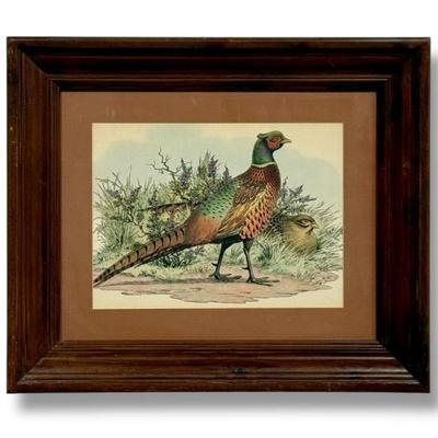 Sale Photo Thumbnail #66