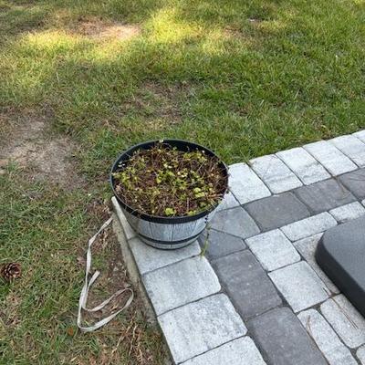 Sale Photo Thumbnail #191