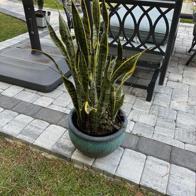 Sale Photo Thumbnail #189