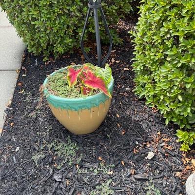 Sale Photo Thumbnail #176