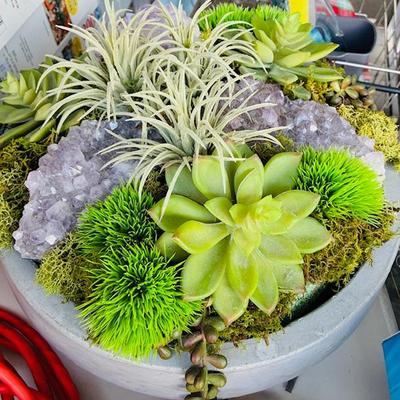 Sale Photo Thumbnail #142