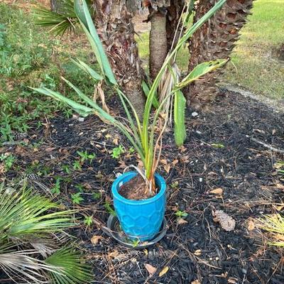 Sale Photo Thumbnail #183