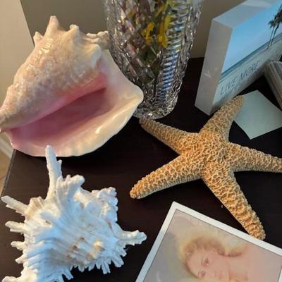 Sale Photo Thumbnail #170