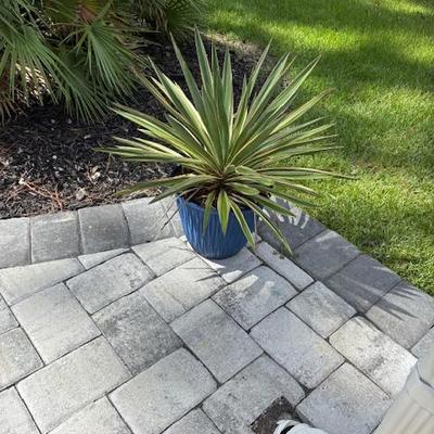 Sale Photo Thumbnail #181