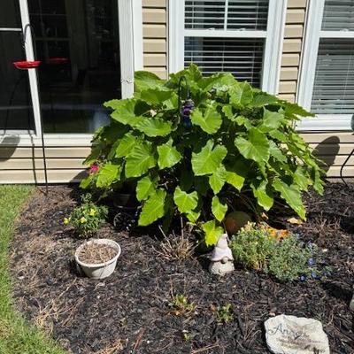 Sale Photo Thumbnail #192