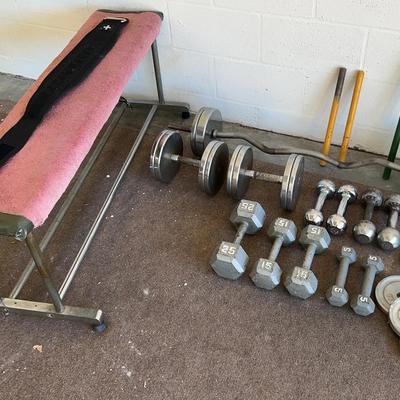 Weight Set & Bench - 25,15,5 Hand Weights, Ez Curl Bar, Weight Belt 