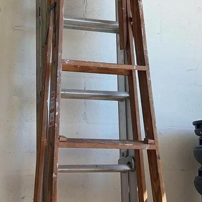 Davidson 16ft Aluminum Extension Ladder & Werner 6ft Step Ladder