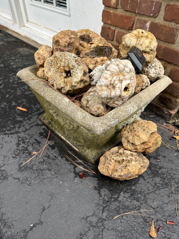 Sale Photo Thumbnail #92