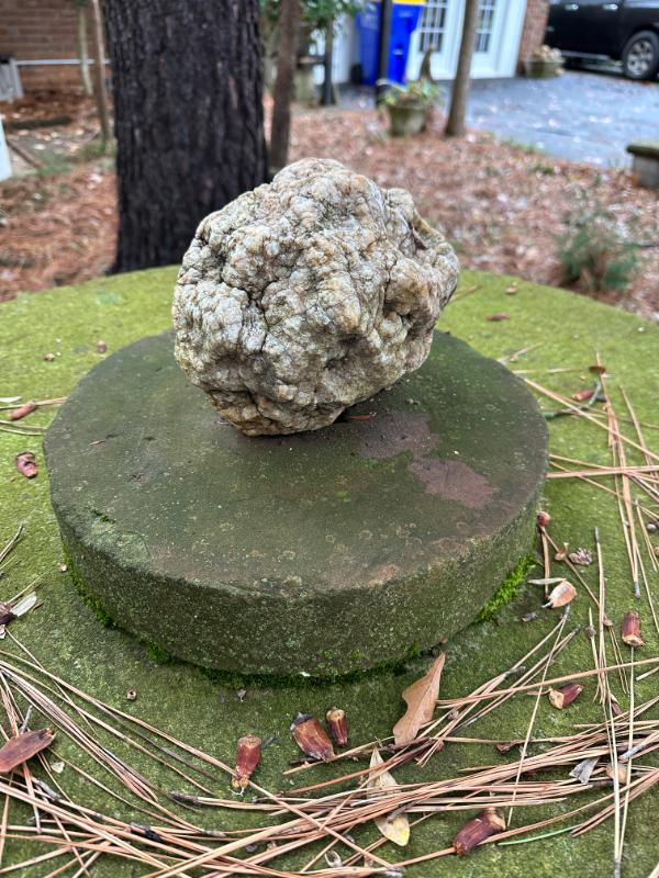 Sale Photo Thumbnail #101