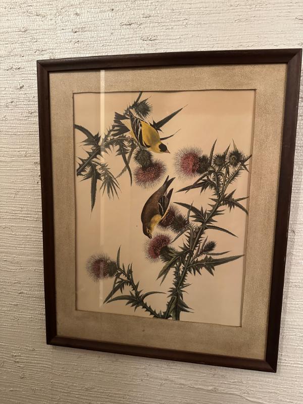 Sale Photo Thumbnail #75