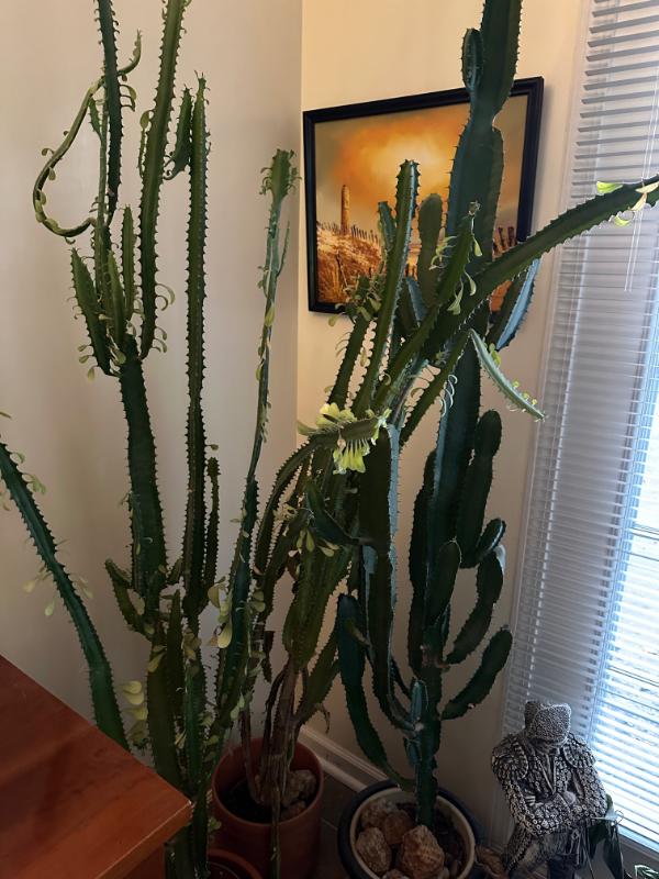 Sale Photo Thumbnail #88