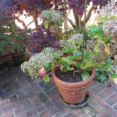 Sale Photo Thumbnail #105