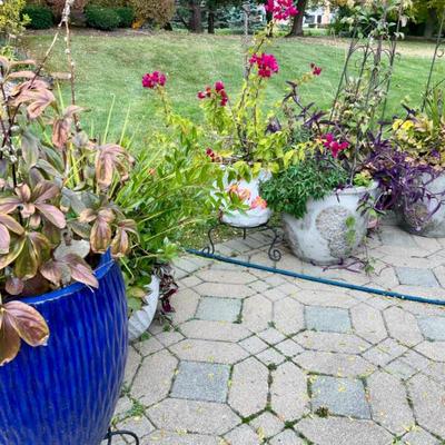 Sale Photo Thumbnail #55