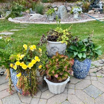 Sale Photo Thumbnail #54