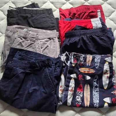 (7) Pairs Of Men's Shorts and Swim Trunks 