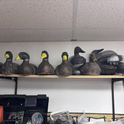 Sale Photo Thumbnail #99