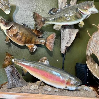 Sale Photo Thumbnail #126