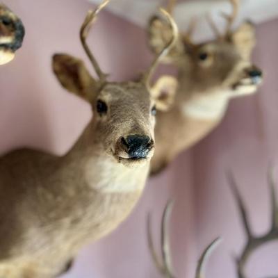 Sale Photo Thumbnail #125