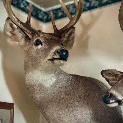 Sale Photo Thumbnail #27