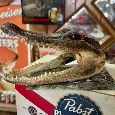 Sale Photo Thumbnail #115