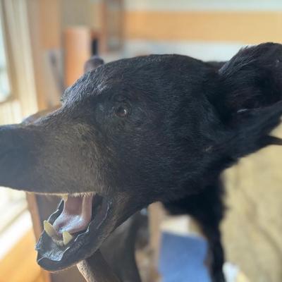 Sale Photo Thumbnail #124