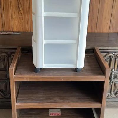 Utility Cart And Plastic Storage
