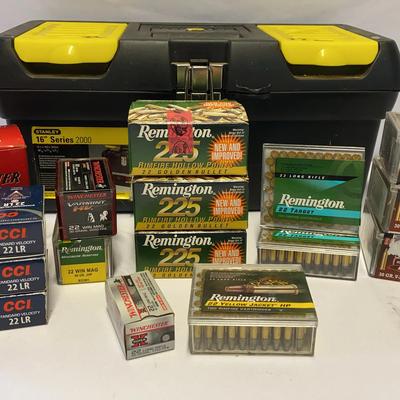 Various Brands .22 Ammunition With Carrying Case
