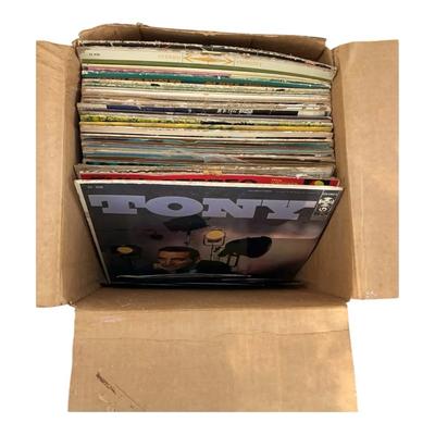 Mystery Lot Of Albums And 45s
