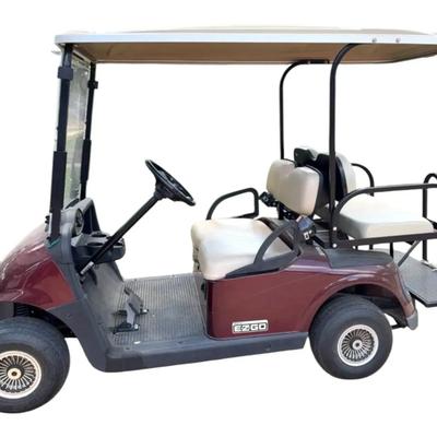 2014 EZ-Go Golf Cart 