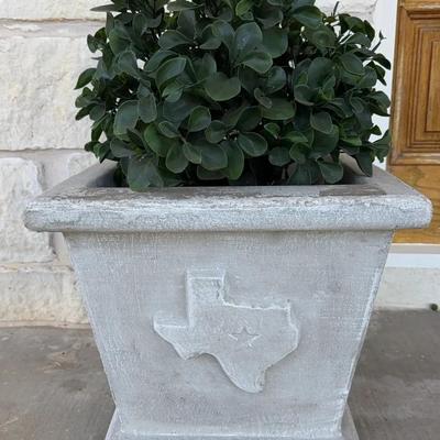 Concrete State of TEXAS planter - Lot 1 