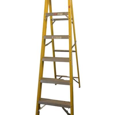 Werner 6Ft Ladder