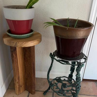 Wooden And Metal Plant Stands With Potted Plants 