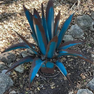 Painted Metal Agave Yard Art