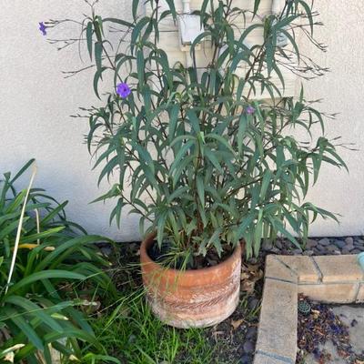 Sale Photo Thumbnail #133