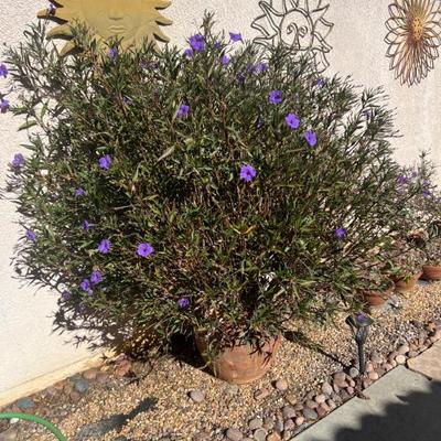 Sale Photo Thumbnail #128