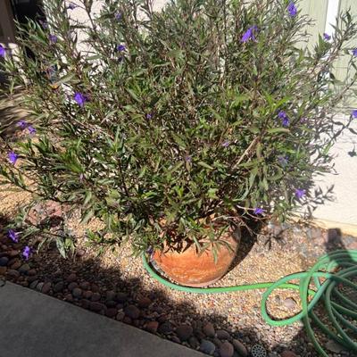 Sale Photo Thumbnail #127